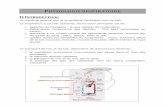 PHYSIOLOGIE RESPIRATOIRE - pneumocourlancy.frpneumocourlancy.fr/popup/physiologie-respiratoire.pdf · PHYSIOLOGIE RESPIRATOIRE I) INTRODUCTION. Le système respiratoire et le système
