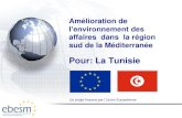 Pour: La Tunisie - ebesm.eu TN A2F Brussels PPP.… · avantages fiscaux et financiers aux MPME et en particulier les ... accroit les primes de risques et conduit à des ... tarification