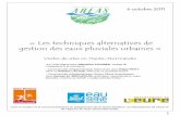 « Les techniques alternatives de gestion des eaux ... · PDF fileDGA et Nathalie LACAZE, Pôle Eau et assainissement ... Dimensionnement : ... du lotissement, de la Z.A.C