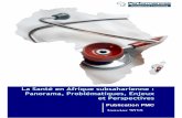 La Santé en Afrique subsaharienne : Panorama ... Sante_2010.pdf · L’Afrique abrite seulement 1,3% des travailleurs de la Santé alors qu’elle porte à elle seule 25% de la charge