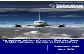 Le secteur aérien Africain : État des lieux Problématiques ...perfcons.com/bibliotheque/publication/PDF/doc sectoriel... · 3.2.5 Avènement d’un comportement de consommation