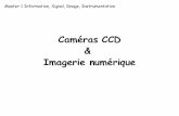 Caméras CCD Imagerie numérique - userpages.irap.omp.euuserpages.irap.omp.eu/~ogodet/ISII-cours1.pdf · PLAN DU COURS I – Notions sur les semi-conducteurs et interactions rayonnement-matière