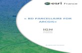 BD PARCELLAIRE FOR ARCGIS - · PDF fileLa géodatabase 13 5.1.2. ... ligne associés, sont disponible sur la plateforme en ligne arcgis Online d'Esri France sous la forme de Web Map