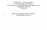 Filières d’Etudes Fondamentales Sciences Mathématiques …data0.zic.fr/discipolat/perso/sciences mathematiques.pdf · Des manuels sont en cours d’élaboration afin de définir