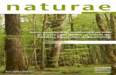 Suivis nationaux de biodiversité en forêt en France : une ...sciencepress.mnhn.fr/sites/default/files/articles/pdf/naturae-6... · comparaison de coûts sont également abordés