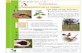 La plantation E - CAUE 60 (Oise) · PDF filecaue de lʼoise conseil dʼarchitecture dʼurbanisme et de lʼenvironnement de lʼoise la cabotière - parc du château - bp 439 - 60635