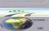 L’examen de la politique d’investissement de la ...unctad.org/en/PublicationsLibrary/diaepcb2014d4_fr.pdf · La stratégie du Gouvernement congolais pour le développement du