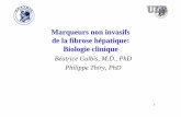 Marqueurs non invasifs de la fibrose h épatique: Biologie ... · PDF file1 Marqueurs non invasifs de la fibrose h épatique: Biologie clinique Béatrice Gulbis, M.D., PhD Philippe