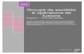 Groupe de sociétés & opérations de fusionsa.joannes.free.fr/Divers/Cours/DSCG/Droit%20-%20UE... · maxence Groupe de sociétés & opérations de fusions Chapitre 1 : Droit des