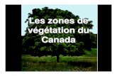 Les zones de végétation du Canada · PDF file• Toutes les plantes et la vie végétale trouvées dans une ... (Beaucoup de tourbières et de moustiques) ... vegetation.ppt