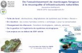 De l’assainissement de marécages fangeux à la reconquête d ... · PDF fileLes journées de l’EAU du CNRS (7 – 8 novembre 2013, Pari3) ... tourbières ou d'eaux naturelles