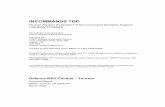 DRDC Toronto CR 2009 - 041 HF Eval  · PDF filevalidation préliminaire d’une évaluation heuristique par un analyste des facteurs humains et d’une