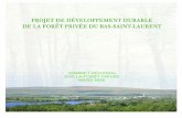 e projet de développement durable de la forêt privée du ... · PDF fileest une initiative du Syndicat des producteurs forestiers et de la Fédération des organismes de gestion