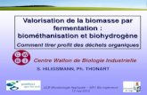 Valorisation de la biomasse par fermentation ...orbi.ulg.ac.be/bitstream/2268/181407/1/SH_ ULB_digestion anaérobie... · 21 La biométhanisation de la matière organique ... - micro-organisme
