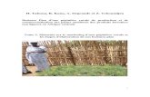H. Tabuna, R. Kana, A. Degrande et Z. · PDF fileBusiness Plan d’une pépinière rurale de production et de commercialisation des plants améliorés des produits forestiers ... comme