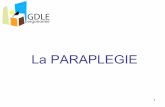 La PARAPLEGIE - conseil.gdle.netconseil.gdle.net/assets/files/GDLE_zoom_sur_la_paraplegie.pdf · 2 Plan - Notions générales sur la colonne vertébrale, - Impulser un mouvement -