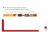 Le secteur agroalimentaire en Provence-Alpes-Côte d’Azur · PDF filePhytoscience Holistica