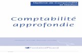 Livre UE10 E 2015-2016 - · PDF fileSommaire Comptabilité approfondie ©FontainePicard 3 (Conforme au PCG 2014 – Règlement 2014-03 du 5.06.2014) PARTIE 1 - Profession comptable