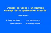 L’angor de verge : un nouveau concept de la dysfonction ...sfms.free.fr/cube/2005_copenhague_bondil_01.pdf · Exemples d’angor ¾Angor ou angine de poitrine (angina pectoris)