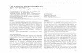 Texte intégral : E-Mémoires de l'ANC, 2006, vol. 5 (1), 05-10 · PDF filee-mémoires de l'Académie Nationale de Chirurgie, 2006, 5 (1) : 05-10 5 Résumé Objectif : Déterminer