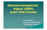 Glomérulonéphrite Aigue (GNA) post · PDF fileVI/ Formes Cliniques 1) Formes symptomatiques GNA maligne: IRA sévère, AnurieÎEER. PBR: prolifération endo +extracapillaire réalisant