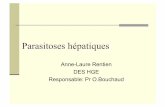 Parasitoses hépatiques - Hepatoweb.comhepatoweb.com/DES/exposes/DES5_2011_HAGEGE/RENTIEN.pdf · Bilharziose hépatique Histologiquement constante ds les bilharzioses intestinales