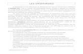 LES DYSPHASIES - guidespratiquesavs.frguidespratiquesavs.fr/images/public/guidedysphasies.pdf · Table des matières FACILITER LA CONCENTRATION.....4 FACILITER LES ...