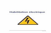 Cours habilitation électrique 2012 - · PDF filePage 2/28 1 - Définition : L'habilitation est la reconnaissance par un employeur de la capacité d'une personne à accomplir en sécurité