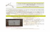 Mesurer le temps naturel Le cadran solaire - Musée de l ... · PDF fileretracer l’histoire des instruments de mesure du temps, qui est le reflet de celle ... pendule, il eut l’idée