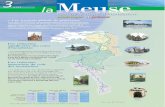 Agir pour réduire le risque inondaiton sur la Meuse ... · PDF filePar exemple pour la crue centennale la ligne ... une diminution du coût des dommages liés aux crues de la Meuse