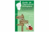 Guide AB 20082009 Version internet - casavecchia.free.frcasavecchia.free.fr/pdf/Brochure-PDF-visit-corsica/Guide-corse... · Magasin produits biologiques Saint Florent. 1 rue du nouveau