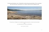 Commentaires sur l’étude environnementale d’un projet de ... · PDF fileLe projet d’exploitation de mine au Lac à Paul ... je suis gelé blanc, bord à bord. Sous le soleil