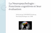 La Neuropsychologie : Fonctions cognitives et leur évaluation · PDF fileObjectif de cette séance Mieux comprendre les fonctions cognitives Rendre attentif aux signes évocateurs