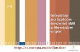 Guide pratique pour l’application du règlement relatif au ...ec.europa.eu/civiljustice/publications/docs/guide_european... · en matière civile et commerciale Guide pratique ...