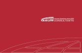 CONTENU - gauff.com · PDF file–Topographie/cartographie – Mécanique des sols, sous-sols, fondations, mesurage de la charge admissible – Analyses de laboratoire pour les