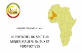 R CHAMBRE DES MINES DU MALI LE SECTEUR MINIER …conseildesinfrastructures.com/wp-content/uploads/2015/06/Pona.pdf · • Gisement de Fer de Sirakoro dans la zone du Nioro du Sahel;