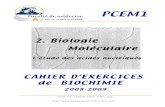 2. Biologie Moléculairearistote.datacenter.dsi.upmc.fr/disc/PCEM1/ED/2_BM_2008-09.pdf · Cahier d'Exercices en Biochimie / PCEM1 Biologie Moléculaire / 3 Faculté de Médecine Pierre