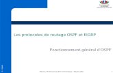 Les protocoles de routage OSPF et · PDF fileF. N o l o t Master 2 Professionnel STIC-Informatique – Module ARS 1 Les protocoles de routage OSPF et EIGRP Fonctionnement général