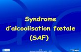 Syndrome d’alcoolisation fœtale (SAF) · PDF fileSociété française d’alcoologie 2/26 Références Nicloux, 1900 Rouquette, 1957 Lemoine, 1968 Jones, Smith et Streissguth, 1973