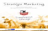 Stratégie Marketing - · PDF fileStratégie Marketing du Pôle de Pleine Nature (PPN) Montagnes du Caroux « Simplement Sauvage » 3 La présente stratégie marketing a été conçue