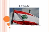Liban - p5.storage.canalblog.comp5.storage.canalblog.com/55/49/1103000/110439259.pdf · Dans ce domaine on utilise l’arabe libanais pourtant même le français est bien accepté,