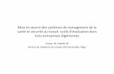 Mise en œuvre des systèmes de management de la santéet ...smsto.fr/public/uploads/actu/288_management.pdf · Mise en œuvre des systèmes de management de la santéet sécuritéau