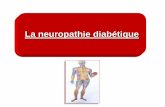 La neuropathie diabétique - · PDF fileDes douleurs peuvent également être ressenties, volontiers plus intenses la nuit, parfois intolérables avec sensation d'écrasement ou de