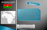 BURKINA FASO - Rice for Africa · PDF filedes interventions publiques et celles des PTFs au ... (PME) d’exploitation ... TOGO BENIN NIGER . Bagrépôle Espace-terre