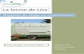 La ferme de Lisa - · PDF fileLa Ferme de Lisa est une entreprise individuelle crée en 2007 par Valérie ... afin de facilite la gemination et d’amélio e la vitesse de coissance