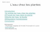 L’eau chez les plantes - UJF Valence · PDF fileIntroduction • Évolution: la sortie des milieux aquatiques implique une régulation de l’eau dans la plante • Étude Histologique