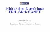 Hiérarchie Numérique PDH-SDH/SONET - Equipe IRTirt.enseeiht.fr/beylot/enseignement/PDH.pdf · 2 Plan Général n Introduction et Motivations n PDH = Plesiochronous Digital Hierarchy