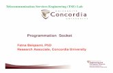 Programmation Socket - users.encs.concordia.caglitho/ProgrammationSocket.pdf · Programmation avancée des sockets. Telecommunication Services Engineering (TSE) Lab 3 Principes de