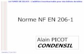 Norme NF EN 206-1 - afgc-ra.fr. NF EN 206 v2.pdf · NF EN 12350 - Sur béton durci NF EN 12390 NORMES ET DOCUMENTS D’EXÉCUTION - Fascicule 65 -Autres fascicules du CCTG puis EN