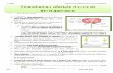 Reproduction végétale et cycle de développementdata.over-blog-kiwi.com/0/60/92/24/201305/ob_0bdf41_reproduction... · L’eau permet la dissémination des graines et de nombreuses